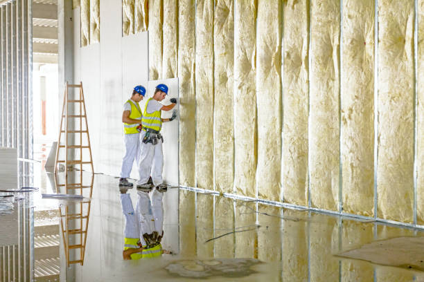 Best Energy Efficiency Insulation in East Norwich, NY